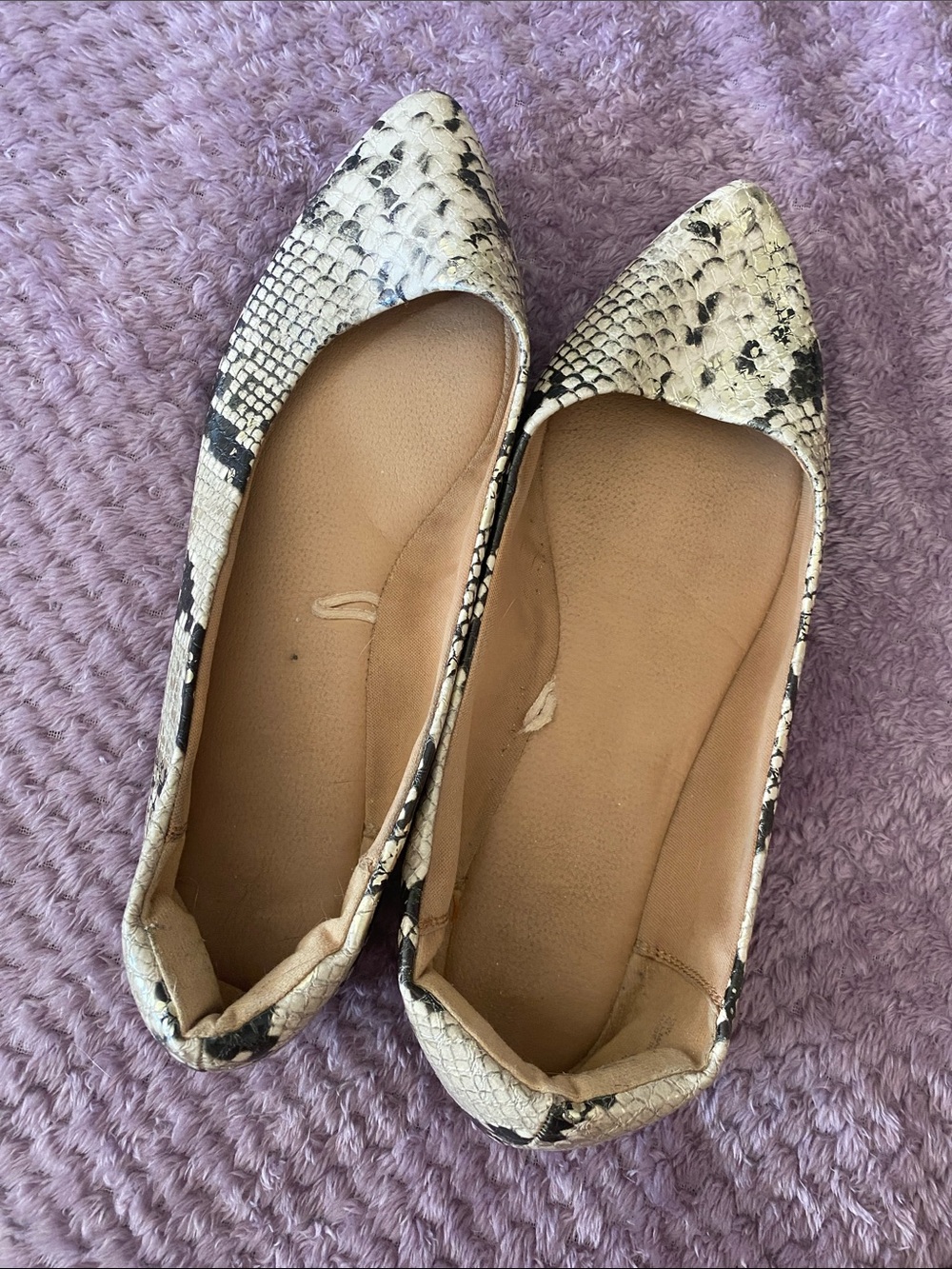 Lane Bryant Pointed Toe Snakeskin Flats in White and Black